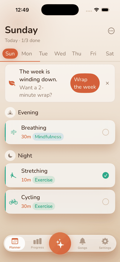The Vivana planner on iPhone, showing Sunday with Evening and Night blocks